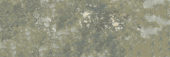 Madrid 3x9" Musgo | Quality Carpet Inc.