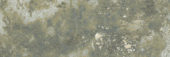 Madrid 3x9" Musgo | Quality Carpet Inc.