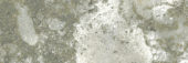 Madrid 3x9" Musgo | Quality Carpet Inc.