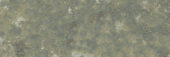 Madrid 3x9" Musgo | Quality Carpet Inc.