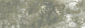 Madrid 3x9" Musgo | Quality Carpet Inc.