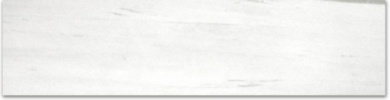 Matte 3X12 Devotion Bullnose | Quality Carpet Inc.