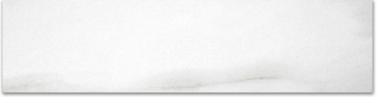 Matte 3X12 Infatuation Bullnose | Quality Carpet Inc.