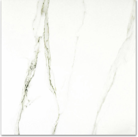 Matte Adoration 24X24 | Quality Carpet Inc.