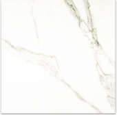 Matte Adoration 24X24 | Quality Carpet Inc.