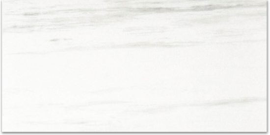 Matte Devotion 12X24 | Quality Carpet Inc.