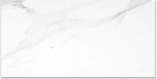 Matte Infatuation 16X32 | Quality Carpet Inc.