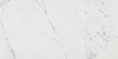 Milano Statuario Honed 12X24 | Quality Carpet Inc.