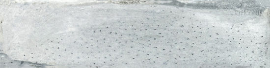 Montserrat Twilight 3x11 | Quality Carpet Inc.