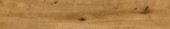 Oak Devonport | Quality Carpet Inc.