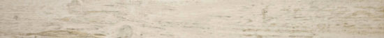 Paradise 3X33 Bullnose | Quality Carpet Inc.