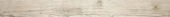 Paradise 3X33 Bullnose | Quality Carpet Inc.