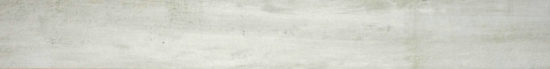Pegasus Grigio 3X24 Bullnose | Quality Carpet Inc.