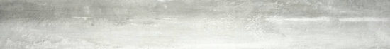 Pegasus Grigio 3X24 Bullnose | Quality Carpet Inc.