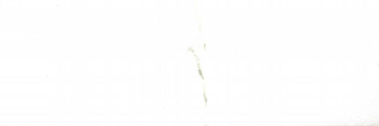 Polished Adoration 10.5X32 | Quality Carpet Inc.