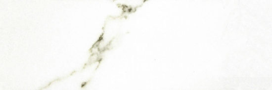 Polished Adoration 10.5X32 | Quality Carpet Inc.