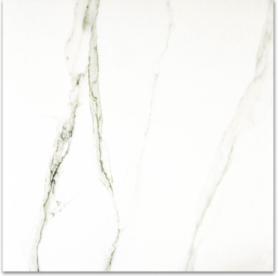 Polished Adoration 24X24 | Quality Carpet Inc.