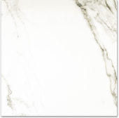 Polished Adoration 24X24 | Quality Carpet Inc.