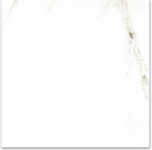 Polished Adoration 24X24 | Quality Carpet Inc.
