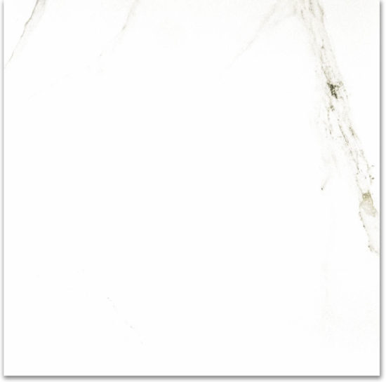 Polished Adoration 24X24 | Quality Carpet Inc.