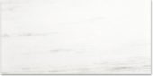 Polished Devotion 24X48 | Quality Carpet Inc.