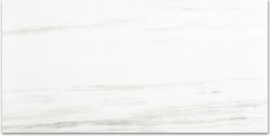 Polished Devotion 24X48 | Quality Carpet Inc.
