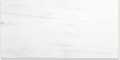 Polished Devotion 24X48 | Quality Carpet Inc.
