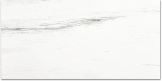 Polished Devotion 24X48 | Quality Carpet Inc.