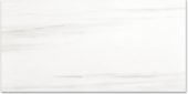 Polished Devotion 24X48 | Quality Carpet Inc.
