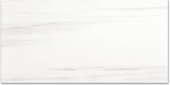 Polished Devotion 24X48 | Quality Carpet Inc.