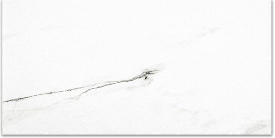 Polished Infatuation 16X32 | Quality Carpet Inc.