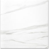 Polished Infatuation 24X24 | Quality Carpet Inc.