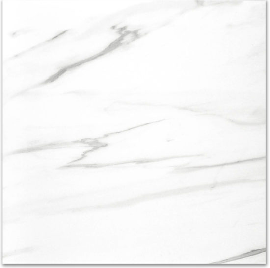 Polished Infatuation 24X24 | Quality Carpet Inc.