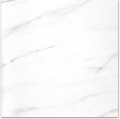 Polished Infatuation 24X24 | Quality Carpet Inc.