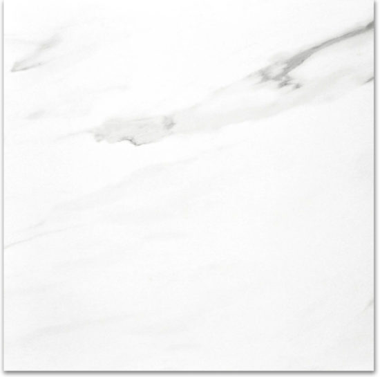 Polished Infatuation 24X24 | Quality Carpet Inc.