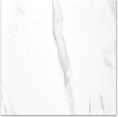 Polished Infatuation 24X24 | Quality Carpet Inc.