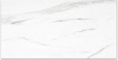 Polished Infatuation 24X48 | Quality Carpet Inc.