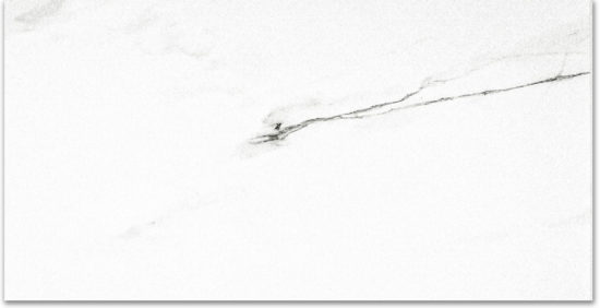 Polished Infatuation 24X48 | Quality Carpet Inc.