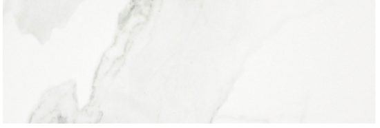 Polished Love 10.5X32 | Quality Carpet Inc.