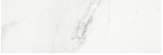 Polished Love 10.5X32 | Quality Carpet Inc.