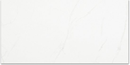 Polished Love 12X24 | Quality Carpet Inc.