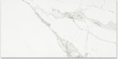 Polished Love 16X32 | Quality Carpet Inc.