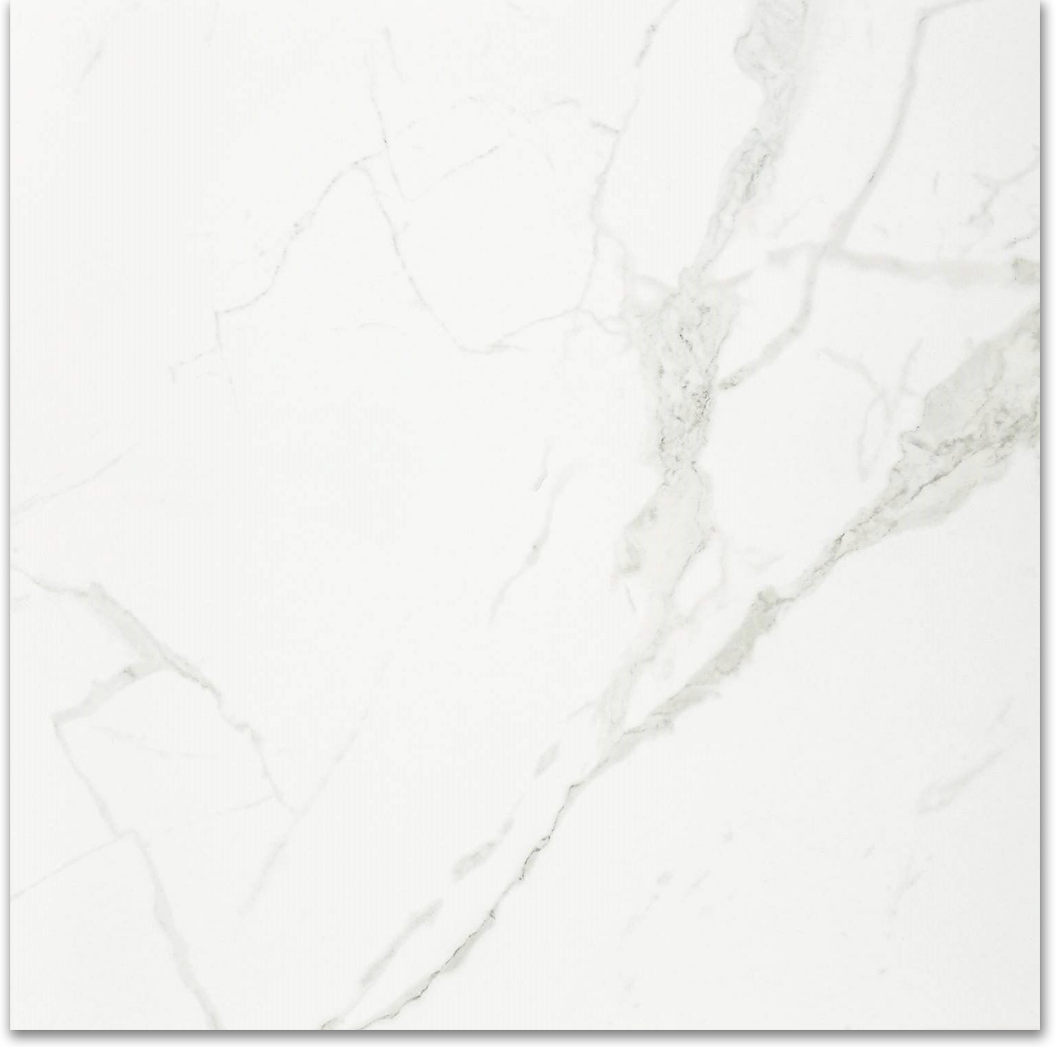 Polished Love 24X24 | Quality Carpet Inc.