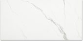 Polished Love 24X48 | Quality Carpet Inc.