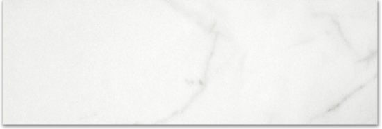 Polished Love 4X12 | Quality Carpet Inc.