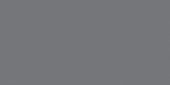 Polished Tokyo 12X24 | Quality Carpet Inc.