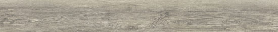 Provincial 7.76"x60" | Quality Carpet Inc.