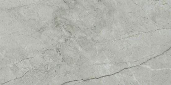 Roma Argento Honed 12X24 | Quality Carpet Inc.