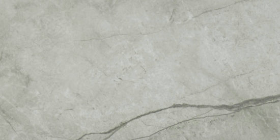 Roma Argento Honed 12X24 | Quality Carpet Inc.
