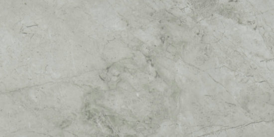 Roma Argento Honed 24X48 | Quality Carpet Inc.
